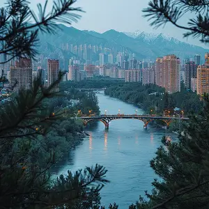 齐鲁大学朱磊简介资料