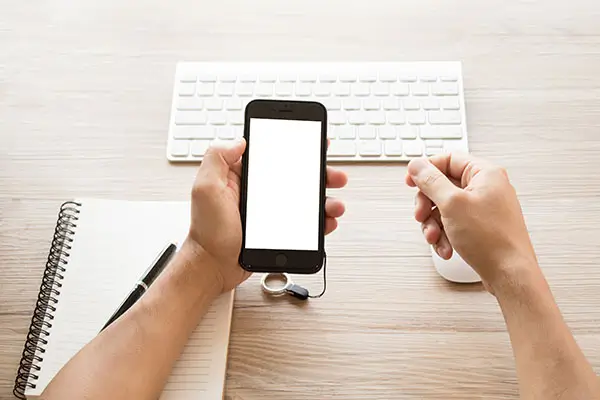 约克大学谢非简介资料